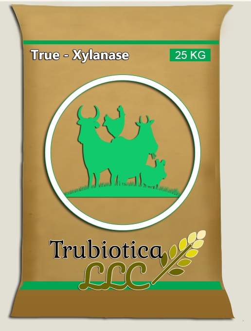 True - Xylanase