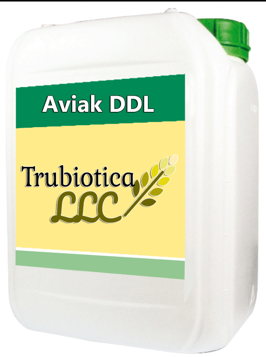 Aviak DDL