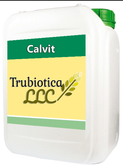 Calvit
